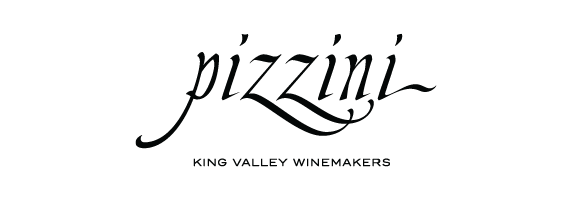 Partner Logos Scaled larger Pizzini